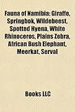 Fauna of Namibia: Spotted Hyena-
