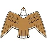 1977-1980 bird f Golden Eagle Jeep Truck Decal Kit by Phoenix Graphix
