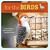 For the Birds: A Month-by-Month Guide to Attracting Birds to Your Backyard