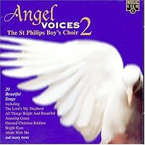 Angel Voices, Vol. 2