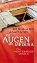 Die Augen der Medusa: Ein Montesecco-Roman