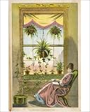 Photographic Prints of Window Gardening from Mary Evans