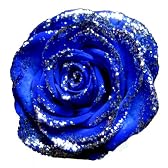 【プラチナブルー】銀ラメ青いバラの花束　本数指定