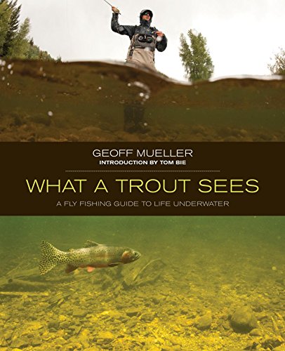 What a Trout Sees: A Fly-Fishing Guide to Life Underwater