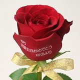 フローリッシュ メッセージローズ (生花) レッド 1本 申込みキット 18595