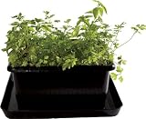 Urban Gardening - UrBin Grower - Black