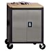Metal Box Industries COS-SVMC MBI Garage Storage System - Mobile Cabinet, Silver/Black