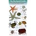 The Rockpool Guide