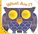 Look & See: What Am I? (Look & See) by La Coccinella