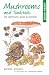 Mushrooms and Toadstools of Britain and Europe