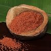 8 Oz Hawaiian Red Alaea Sea Salt Organic (Coarse) Great for Roasting - Made in Hawaii, USA - Packaged by The Spice Lab Inc.
