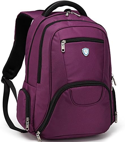 Paydugh Bari Professional Laptop Backpack Purple