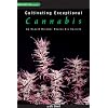 Cultivating Exceptional Cannabis: An Expert Breeder Shares His Secrets
