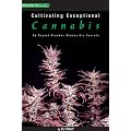 Cultivating Exceptional Cannabis: An Expert Breeder Shares His Secrets (Marijuana Tips Series)