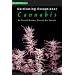 Cultivating Exceptional Cannabis: An Expert Breeder Shares His Secrets (Marijuana Tips Series)