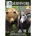 Wildlife Survivors: Bear Wars/Wildlife Vet