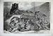 1868 Leopards Tigress Fine Art Cats Zoological Regent'S