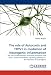 The role of Autocoids and TRPV1 in mediation of Neurogenic inflammation: The role of Inflammatory autacoids,bradykinin and PGE2, & their intracellular ... pathways in the induction of hyperalgesia