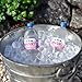 Aztec Imports, Inc. Fairy Ice Cubes for Miniature Garden, Fairy Garden