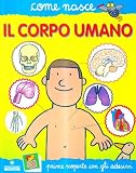 Il corpo
