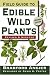 Book Field Guide to Edible Wild Plants