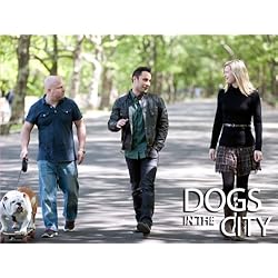 Dogs In The City