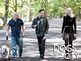 Dogs In The City: I Speak Dog