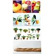 4 Piece French Food Assorted Fold'n Please Cards - Set of 4 Cards