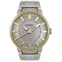 Fossil Men's FS4405 Round Two-Tone Stainless Steel Watch