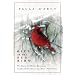 Gift of the Red Bird: The Story of a Divine Encounter