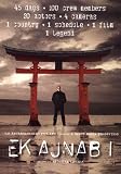 Ek ajnabee(Bollywood Movie / Indian Cinema / Hindi Film / Arjun Rampal/Action/Crime/Adventure/Drama/ Amitabh Bachchan/ DVD)