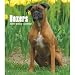 Boxers 2009 Hardcover Weekly Engagement Calendar