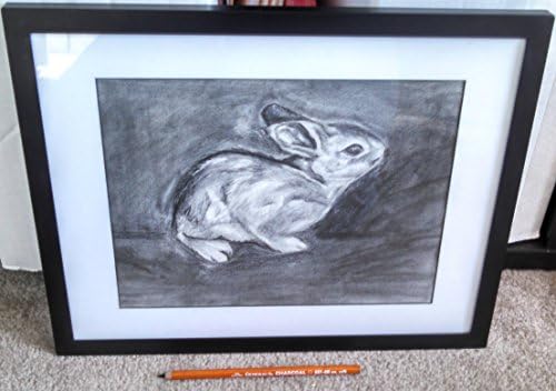Bunny Graphite Drawing