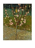 Especial Arte Lienzo Amandelboom in bloei Multicolor