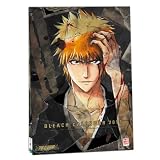 Kalender Bleach 2013von "AV Visionen GmbH"