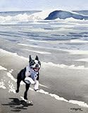 Boston Terrier Dog Art Print Signed by Artist DJ Rogers