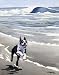 Boston Terrier Dog Art Print Signed by Artist DJ Rogers