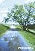 iPhonegrapher�\�ʐ^���B��A���������邽�߂�80�̌��t