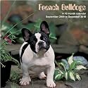 French Bulldogs 2010 Wall Calendar