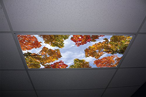 Fall Trees Skypanels - Replacement Fluorescent Light Diffuser