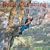 Rock Climbing 2009 Square Wall Calendar