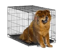 MidWest iCrate Folding Metal Dog Crate
