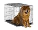 Midwest 1536 iCrate Single-Door Pet Crate 36-By-23-By-25-Inch