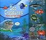 Disney Sea Creatures
