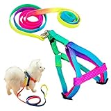 Miyoo Pet Leash Harness Set Colour Profusion High Quality Strong Durable Nylon Puppy Cat Rabbit Kitten Pull Dog Harness and Leash Set Adjustable Puppy Harnesses Lead Set