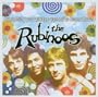Everything You Always Wanted to Know About The Rubinoos