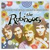 Everything You Always Wanted to Know About The Rubinoos