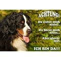 Metall - Warnschild Berner Sennenhund