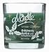 Glade Holiday Candle Bayberry Spice and Everything Nice, 4-Ounce (Pack of 3)