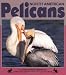 North American Pelicans (Nature Watch (Lerner))
